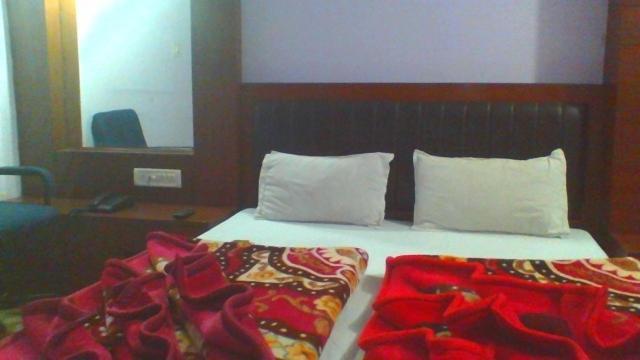 Sahara International Deluxe Hotel New Delhi Værelse billede