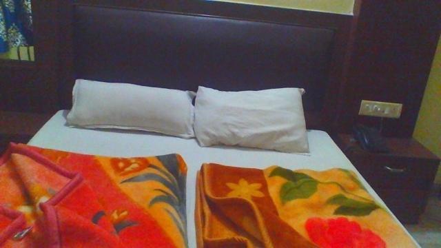 Sahara International Deluxe Hotel New Delhi Værelse billede